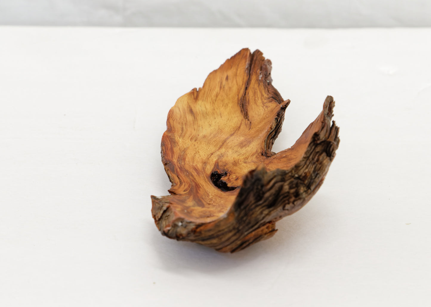 Wood catchall bowl, rustic Ponderosa pine one of a kind, asymmetric, upcycled, 492-A