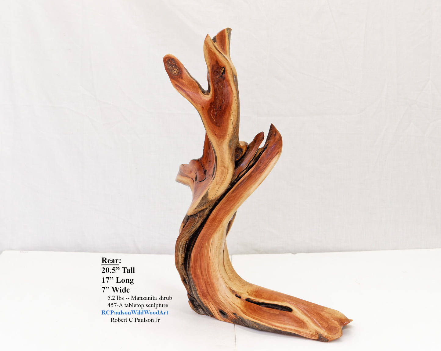 Manzanita wood tabletop sculpture, twisted root sculpture, irregular live edge sculpture, 20.5 inches Tall x 17 x 7, one of a kind, 457-A