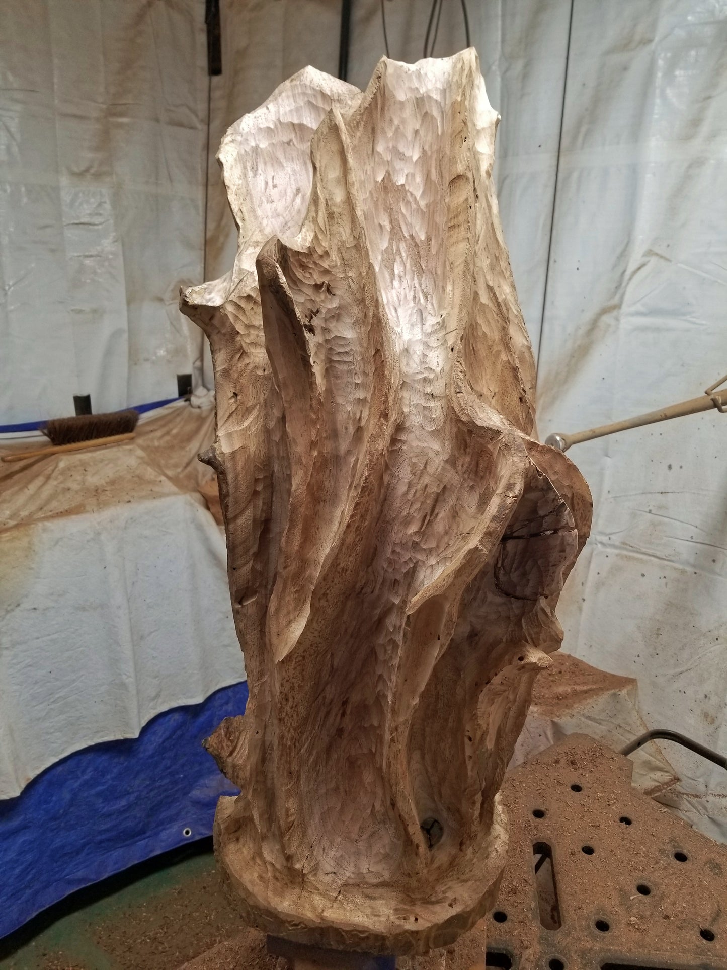 Rough initial sculpting / carving / shaping of what will become a beautiful brown tabletop and floor wooden sculpture 31.5" tall created from black Walnut wood. It has freeform flowing lines showing amazing wood grain. The wood was rescued from a 24 inch diameter tree that died and fell in an Oregon winter storm.