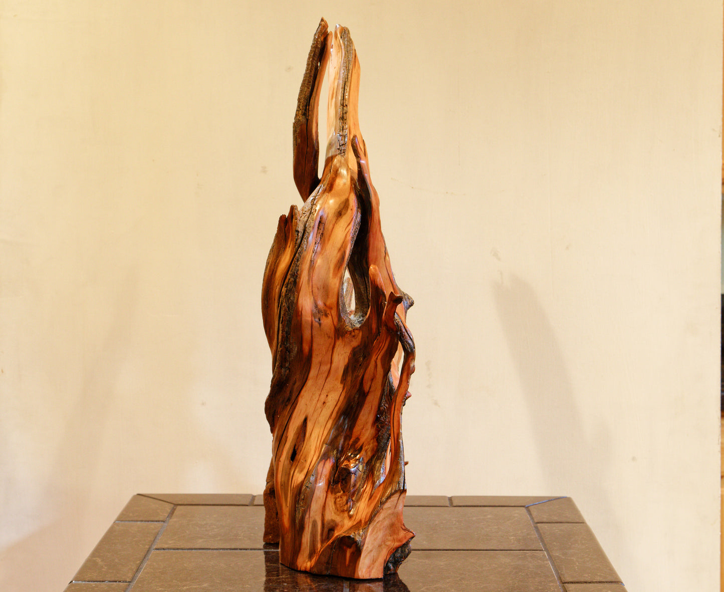 Ponderosa pine conjoined root tabletop sculpture, 28 inches tall, 336-A