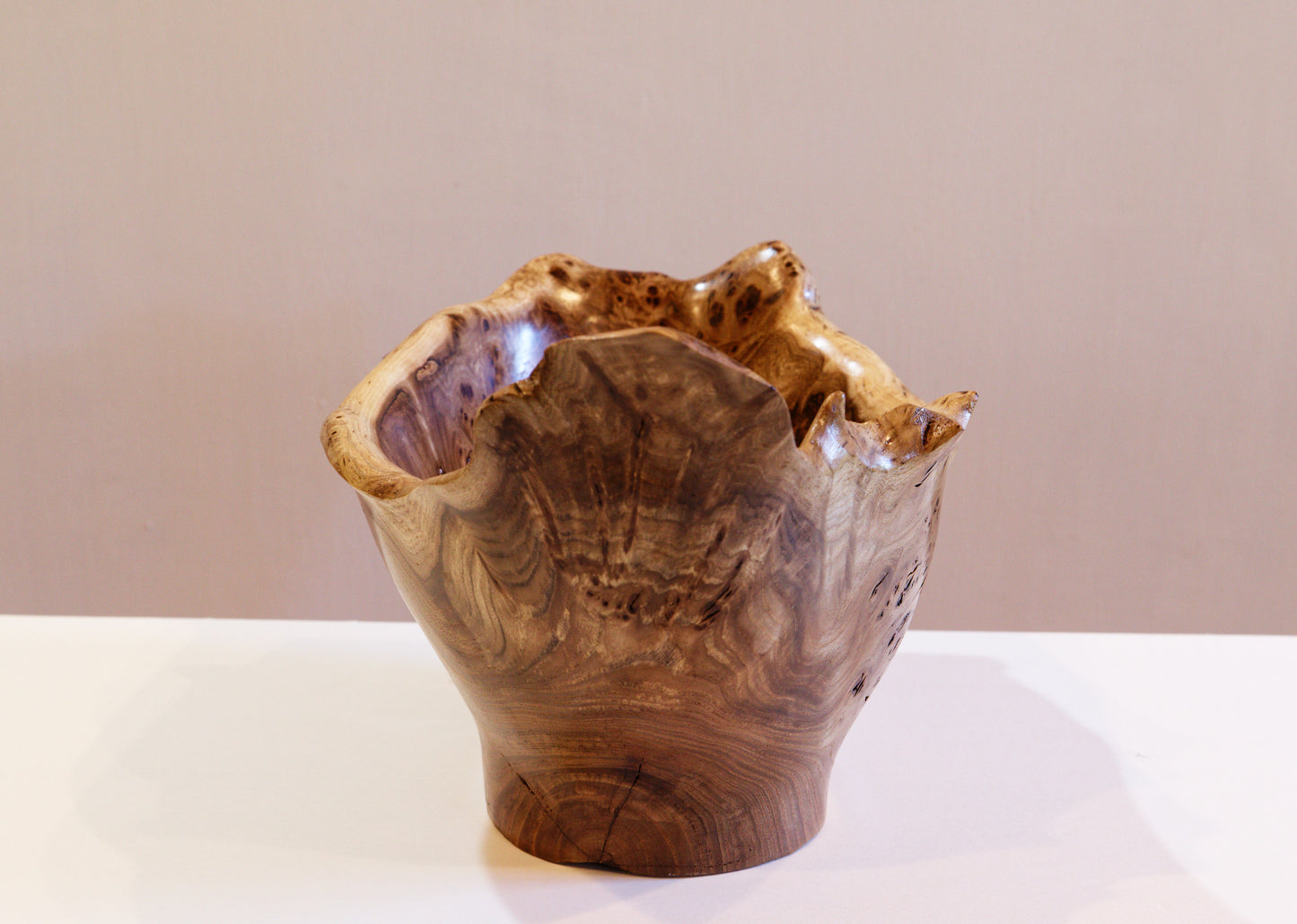 exotic Siberian black elm wood bowl with many burl grain patterns and a free flowing shape, live edge, 8.25 inches Tall x 14 long x 8.5, 3.0 lbs, 312-K