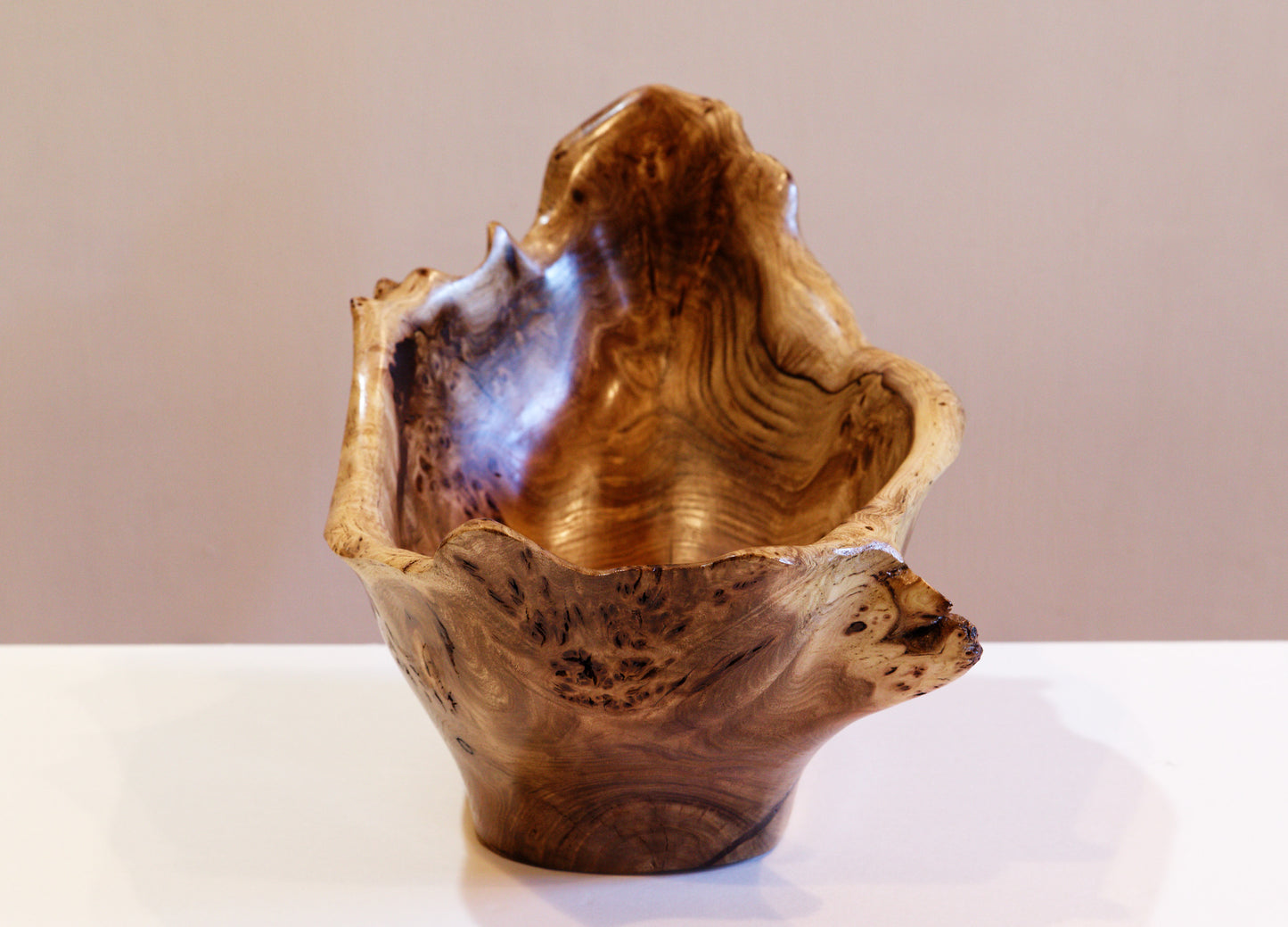 exotic Siberian black elm wood bowl with many burl grain patterns and a free flowing shape, live edge, 8.25 inches Tall x 14 long x 8.5, 3.0 lbs, 312-K