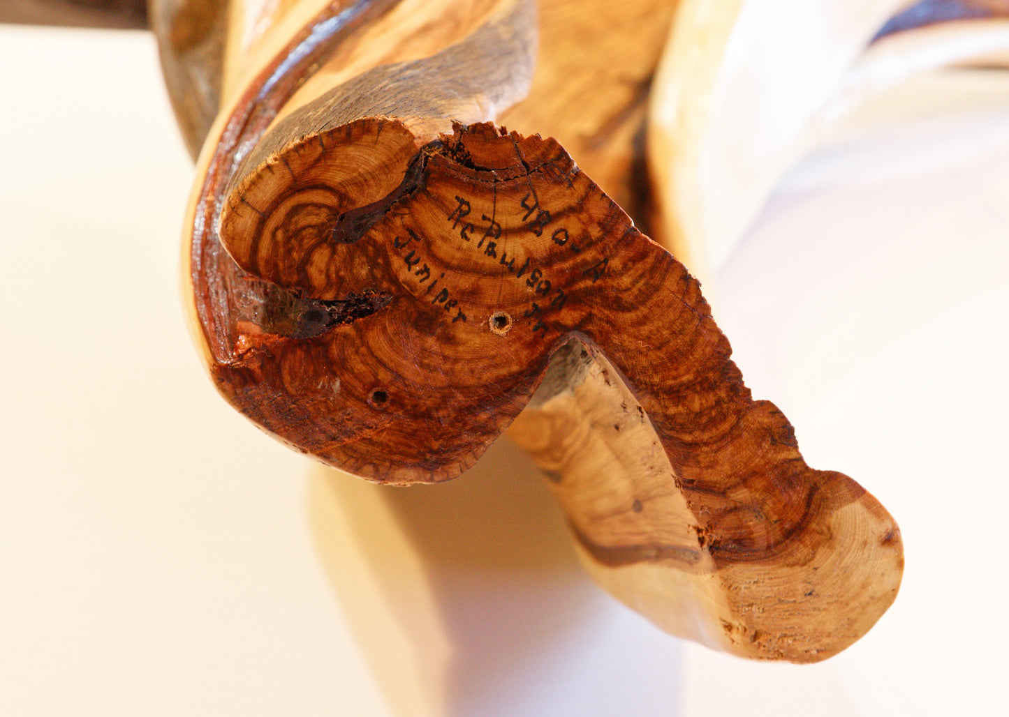 Irregular tabletop desktop wood sculpture, colorful grain, exotic graceful lines, crafted from fallen old growth juniper tree, 480-A