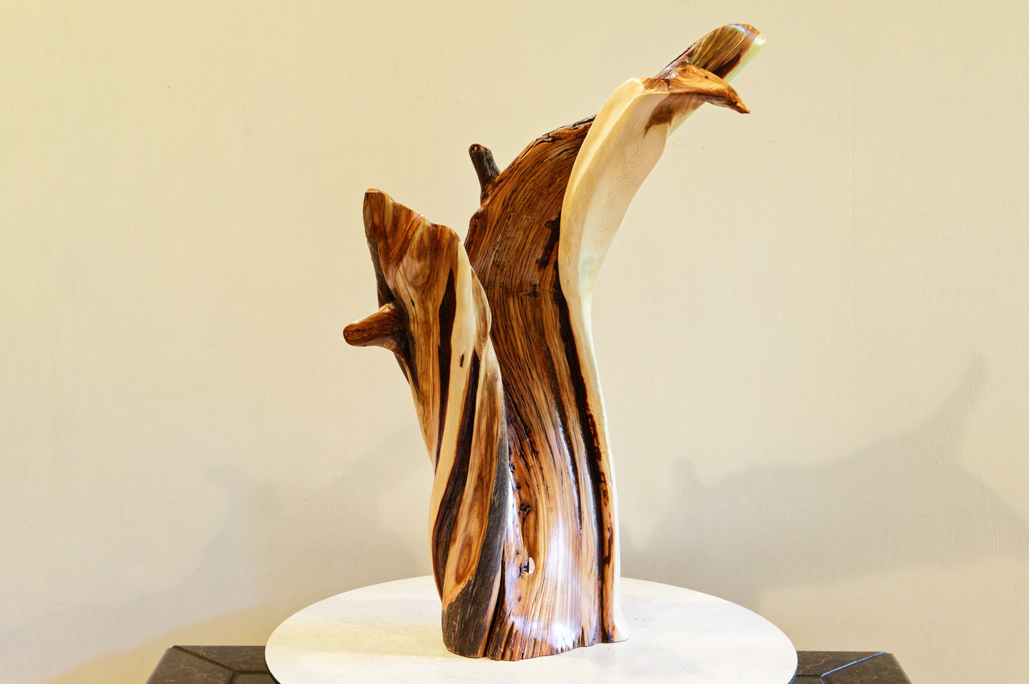 Irregular tabletop desktop wood sculpture, colorful grain, exotic graceful lines, crafted from fallen old growth juniper tree, 480-A