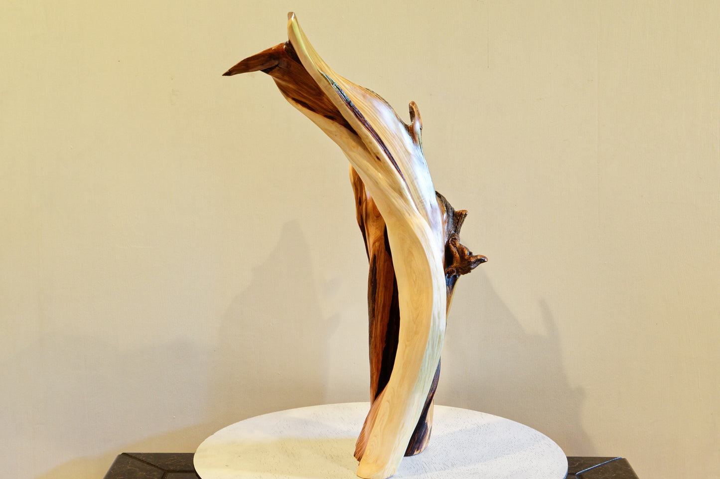 Irregular tabletop desktop wood sculpture, colorful grain, exotic graceful lines, crafted from fallen old growth juniper tree, 480-A