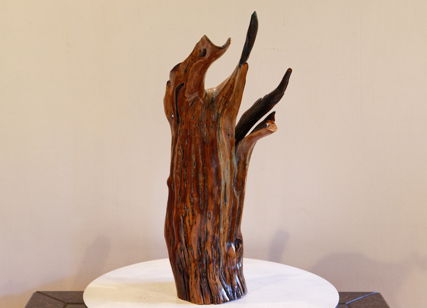 Rustic manzanita wood open vase, golden brown flared winged top with highly irregular shapes, from forest fire, 456-A