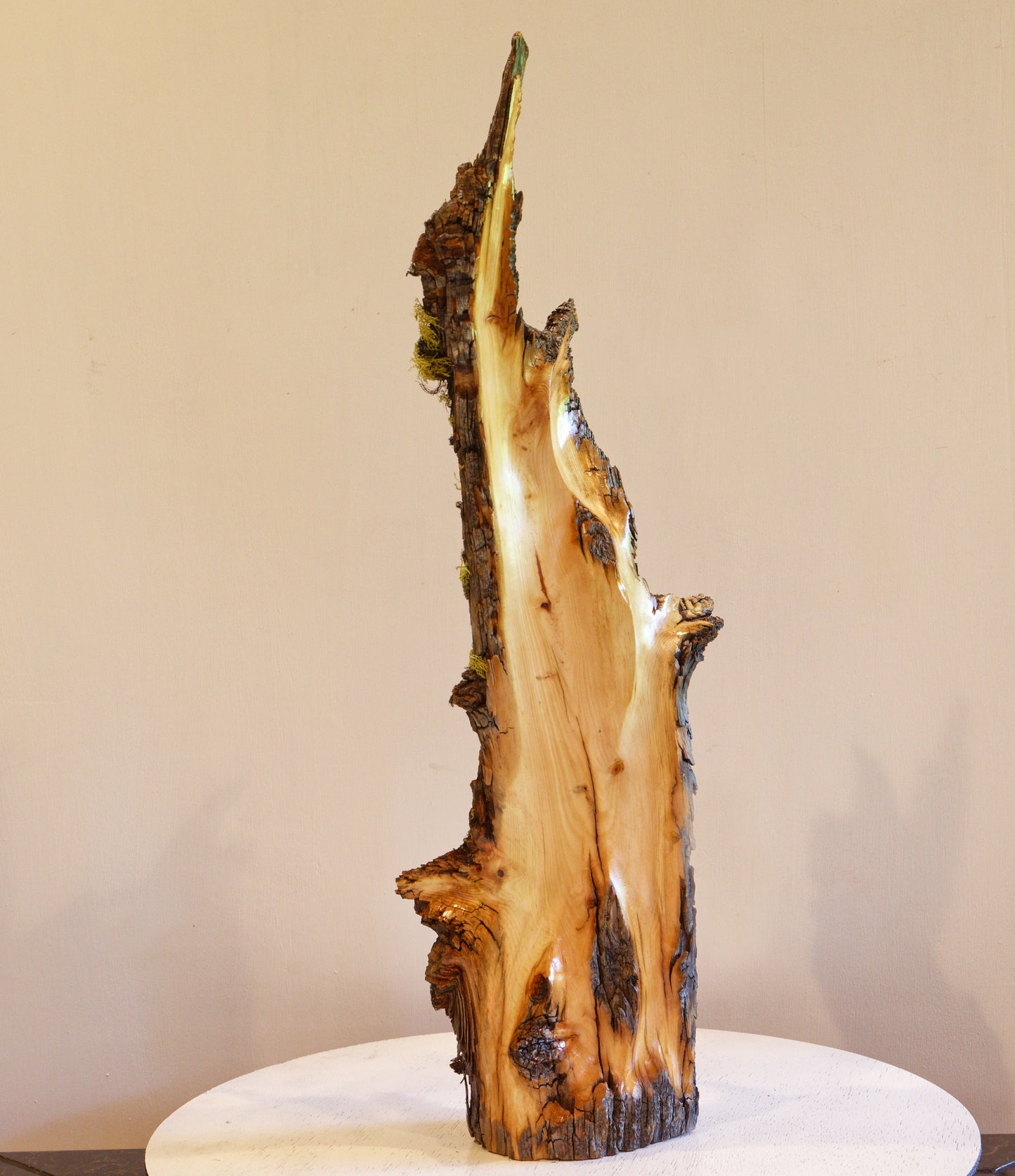 tabletop live edge beautifully grained Ponderosa pine natural sculpture with gold, brown, black, 23.5 T x 7.5 x 5.5, 3.42#, 307-A