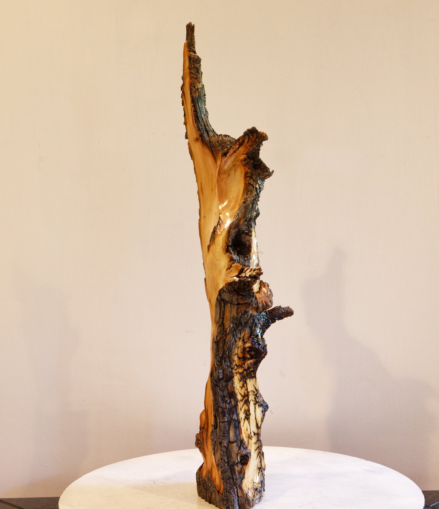 tabletop live edge beautifully grained Ponderosa pine natural sculpture with gold, brown, black, 23.5 T x 7.5 x 5.5, 3.42#, 307-A