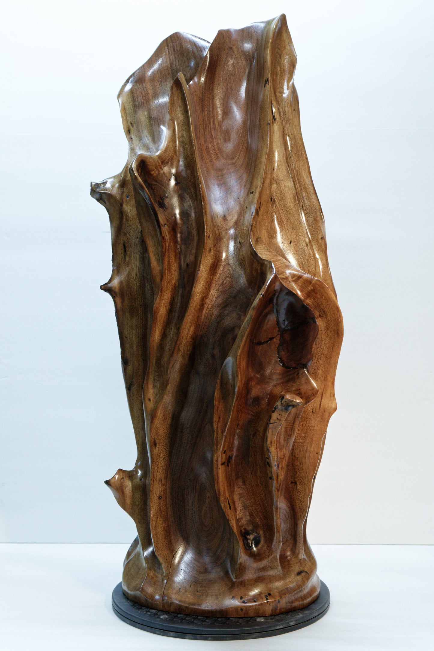 Front view of a beautiful brown tabletop and floor wooden sculpture 31.5" tall created from black Walnut wood. It has freeform flowing lines showing amazing wood grain. The wood was rescued from a 24 inch diameter tree that died and fell in an Oregon winter storm.