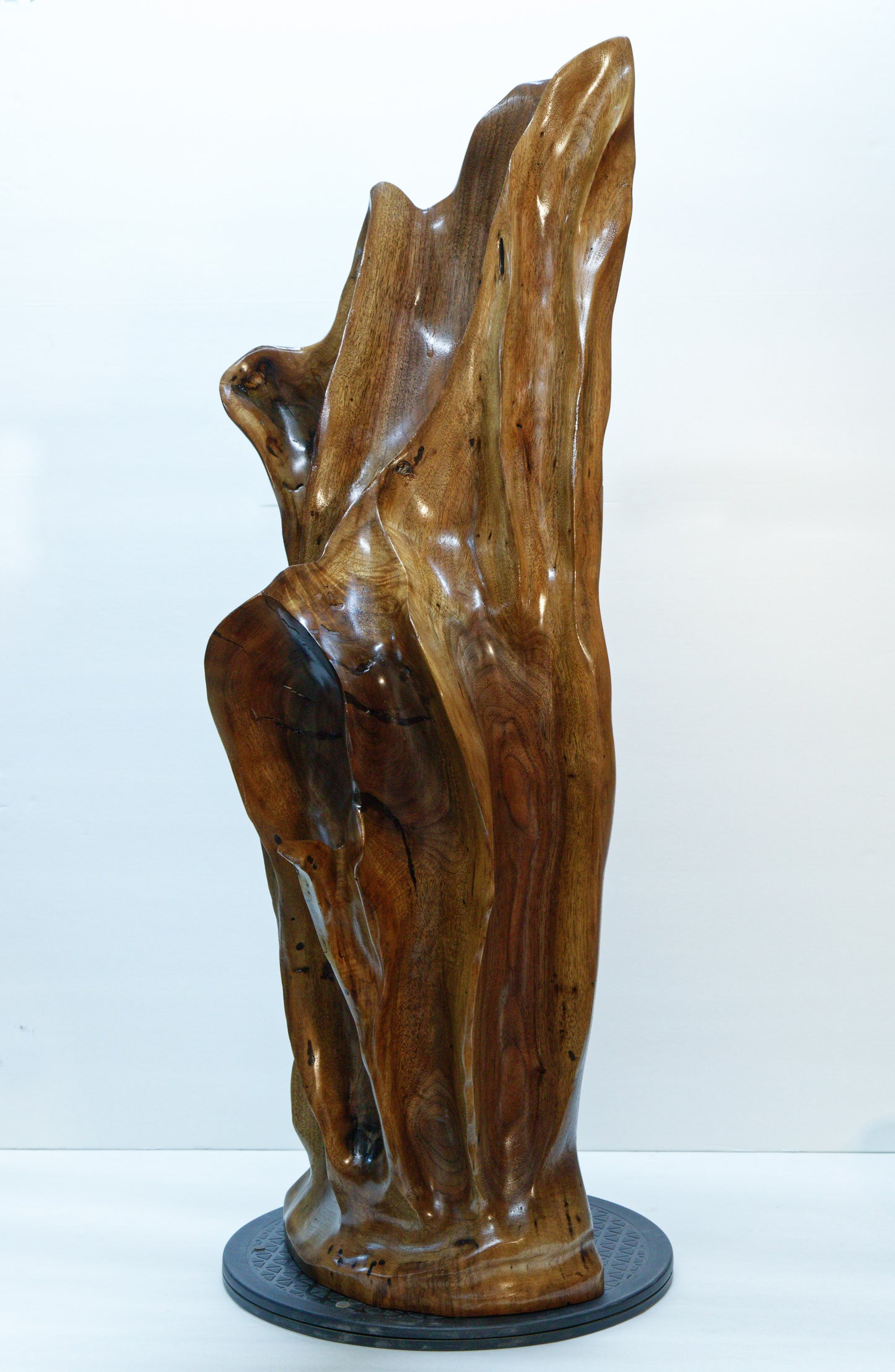 Right side view of a beautiful brown tabletop and floor wooden sculpture 31.5" tall created from black Walnut wood. It has freeform flowing lines showing amazing wood grain. The wood was rescued from a 24 inch diameter tree that died and fell in an Oregon winter storm.