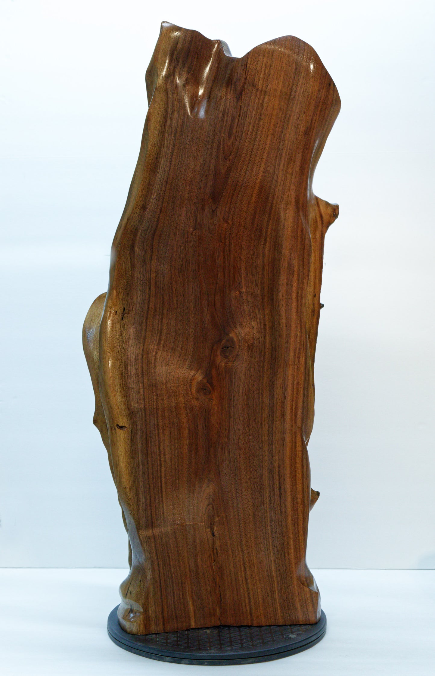 Flat rear view of a beautiful brown tabletop and floor wooden sculpture 31.5" tall created from black Walnut wood. It has freeform flowing lines showing amazing wood grain. The wood was rescued from a 24 inch diameter tree that died and fell in an Oregon winter storm.