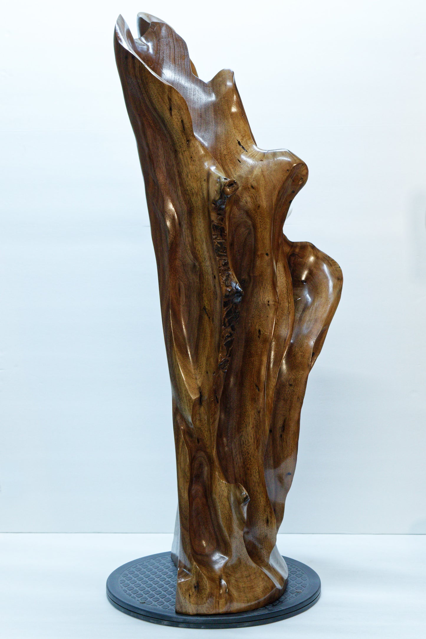 Left side view of a beautiful brown tabletop and floor wooden sculpture 31.5" tall created from black Walnut wood. It has freeform flowing lines showing amazing wood grain. The wood was rescued from a 24 inch diameter tree that died and fell in an Oregon winter storm.