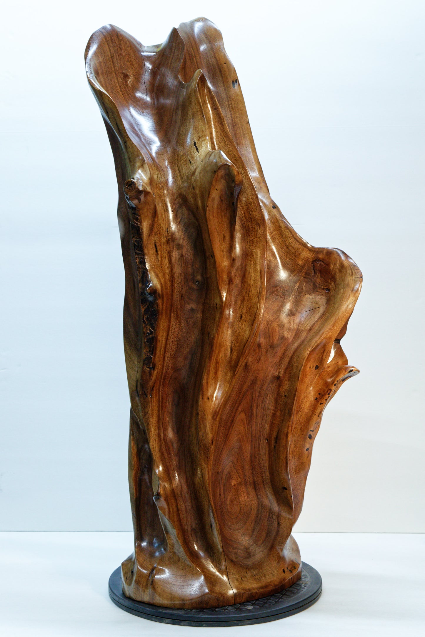 Left front view of a beautiful brown tabletop and floor wooden sculpture 31.5" tall created from black Walnut wood. It has freeform flowing lines showing amazing wood grain. The wood was rescued from a 24 inch diameter tree that died and fell in an Oregon winter storm.