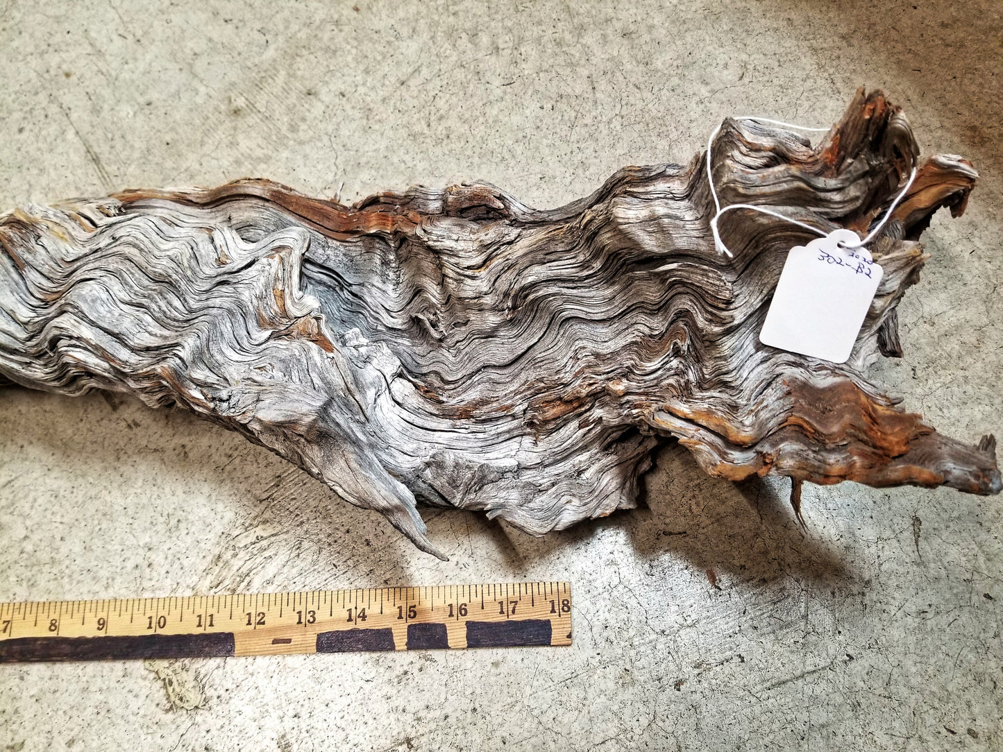 bowl catchall 16" , Ponderosa pine, wood one of a kind, Wabi Sabi wabisabi wabi-sabi no bark, rustic natural primitive twisted shape, 302-B2