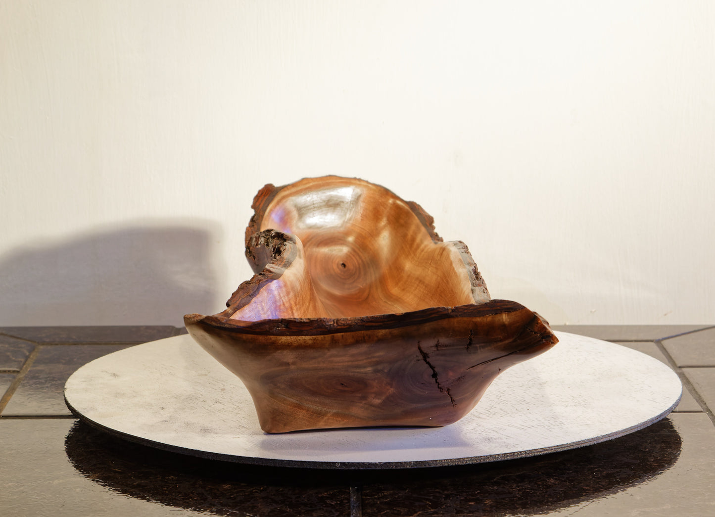 Black walnut live edge Wabi Sabi wood bowl sculpture 19" long x 4.75 tall, brown, intricate colorful grain patterns, 143-ZZ