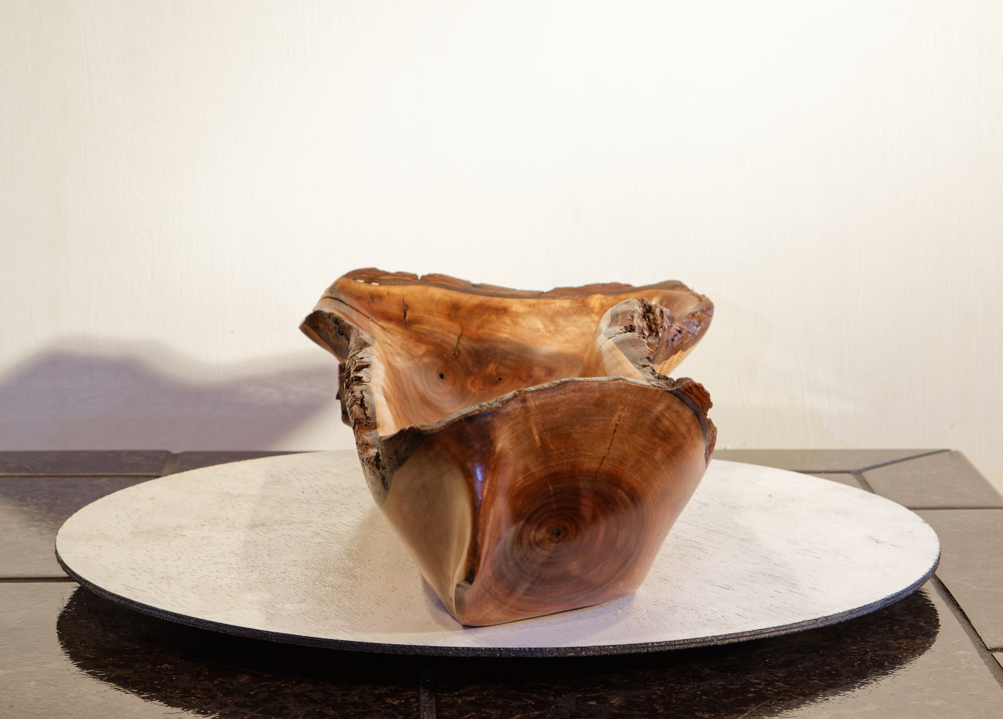 Black walnut live edge Wabi Sabi wood bowl sculpture 19" long x 4.75 tall, brown, intricate colorful grain patterns, 143-ZZ