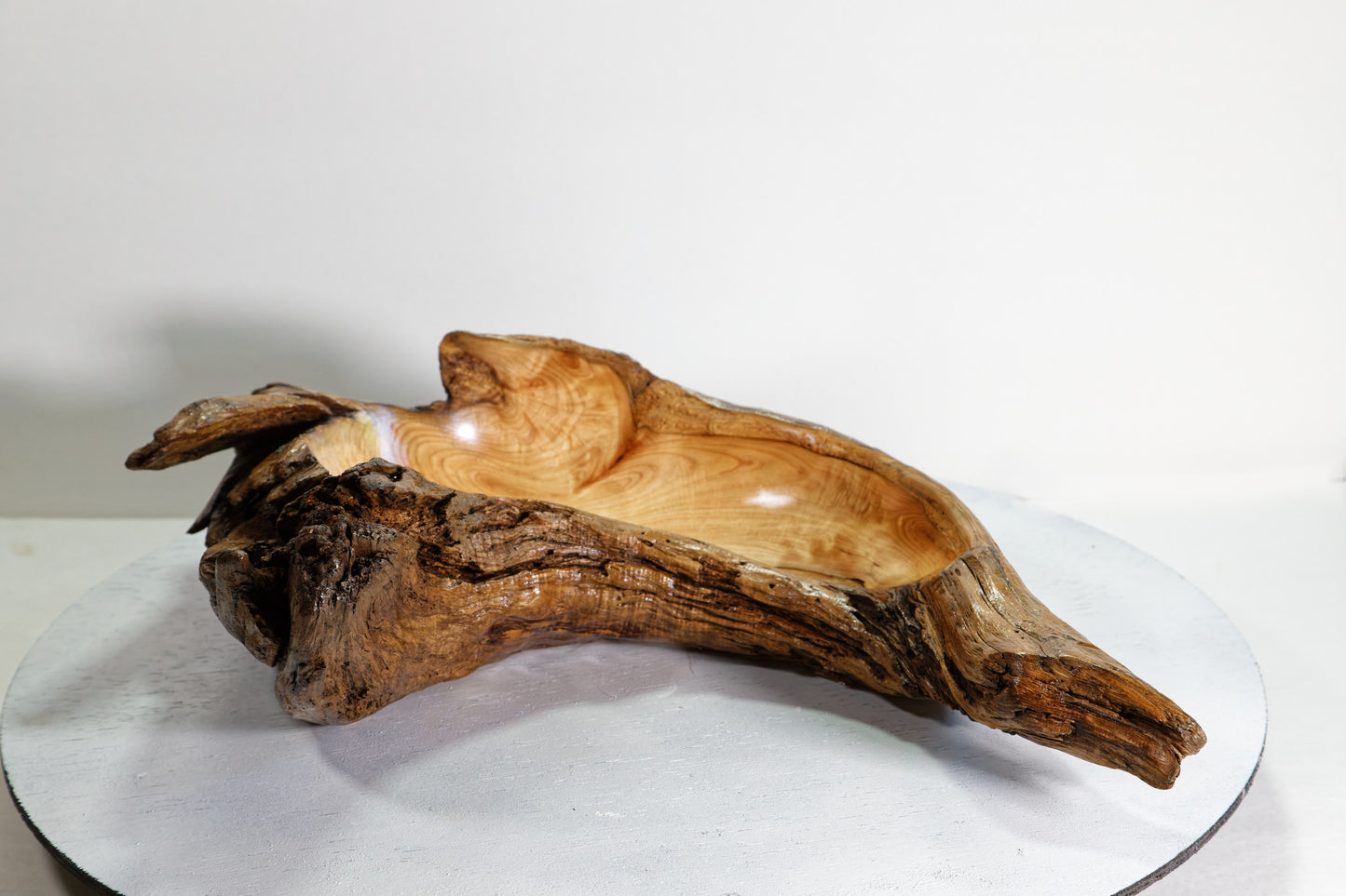 Hook shaped driftwood cedar wood bowl, rustic decorative, curves, Wabi Sabi Wasabi, one of a kind, 14.5 inch long, 4.5" tall, 2 lbs, 999-G,