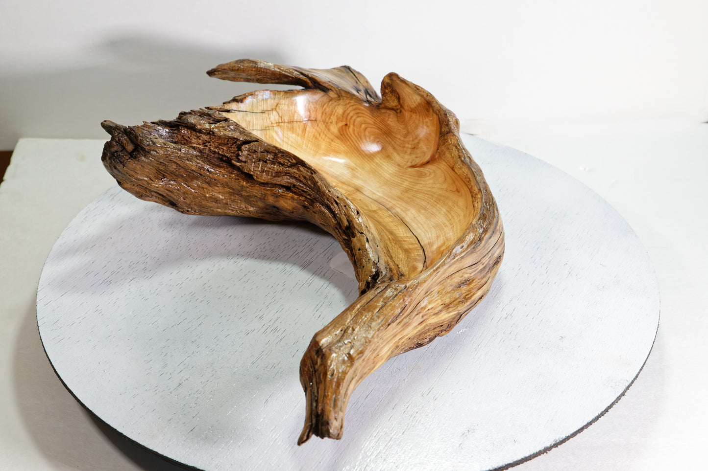 Hook shaped driftwood cedar wood bowl, rustic decorative, curves, Wabi Sabi Wasabi, one of a kind, 14.5 inch long, 4.5" tall, 2 lbs, 999-G,