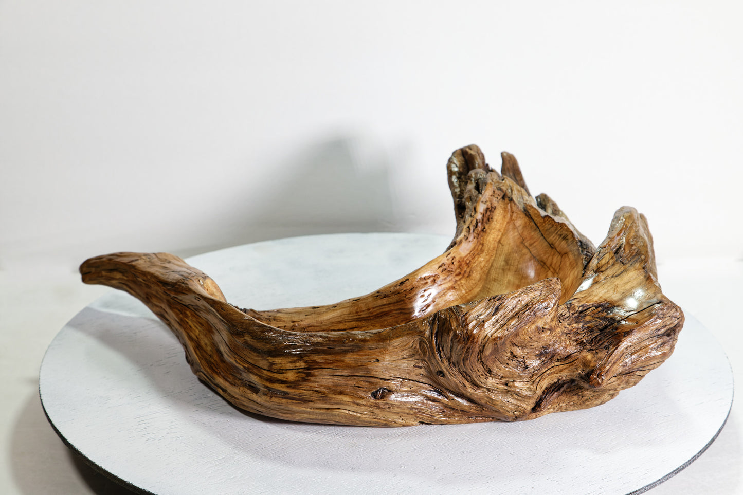 Hook shaped driftwood cedar wood bowl, rustic decorative, curves, Wabi Sabi Wasabi, one of a kind, 14.5 inch long, 4.5" tall, 2 lbs, 999-G,