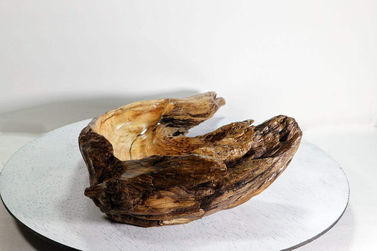 Hook shaped driftwood cedar wood bowl, rustic decorative, curves, Wabi Sabi Wasabi, one of a kind, 14.5 inch long, 4.5" tall, 2 lbs, 999-G,
