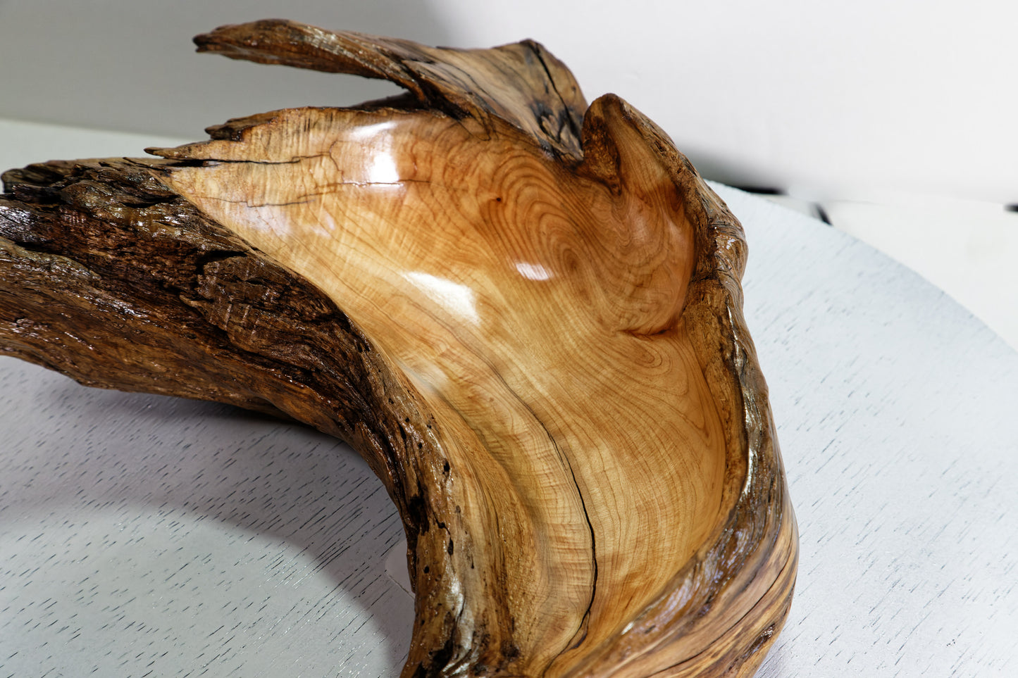 Hook shaped driftwood cedar wood bowl, rustic decorative, curves, Wabi Sabi Wasabi, one of a kind, 14.5 inch long, 4.5" tall, 2 lbs, 999-G,
