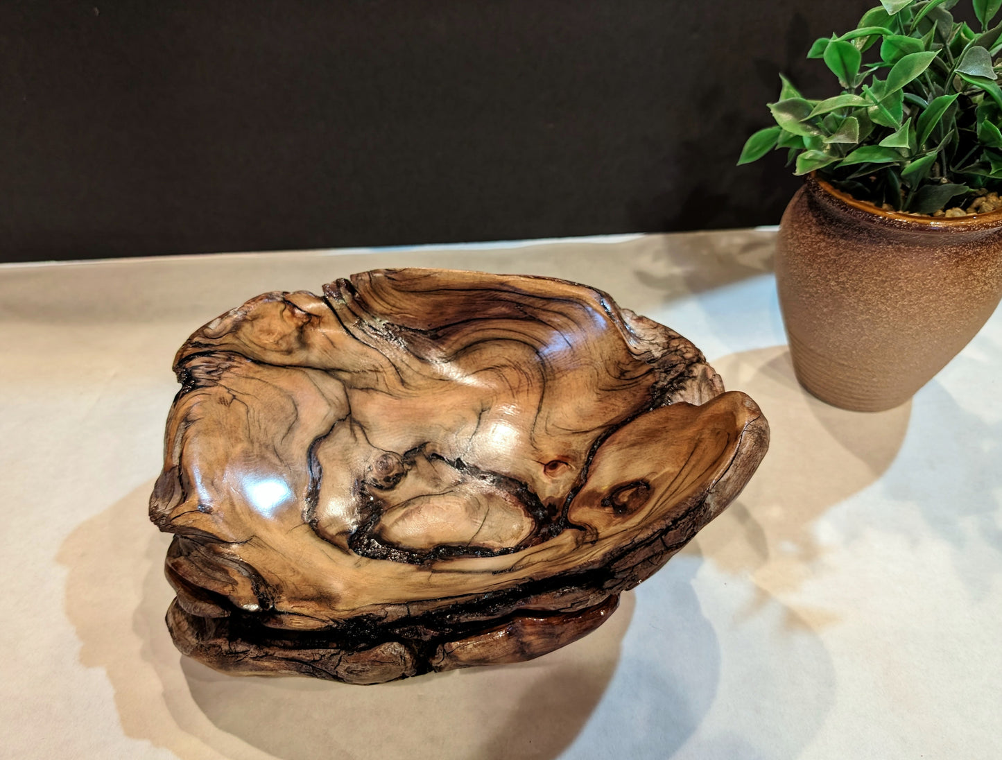 ancient Ponderosa catchall, Wood, 3.5 tall x 9 x 7'', 1.03 lbs, Wabi Sabi Wasabi wabi-sabi one-of-a-kind, asymmetric, upcycled, 496-A
