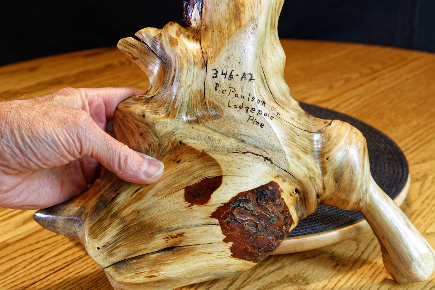 branched catchall, Lodgepole pine roots, 15 x 12 x 2'', 0.95 lbs, Wabi Sabi Wasabi wabi-sabi one-of-a-kind, asymmetric, upcycled, 346-A2