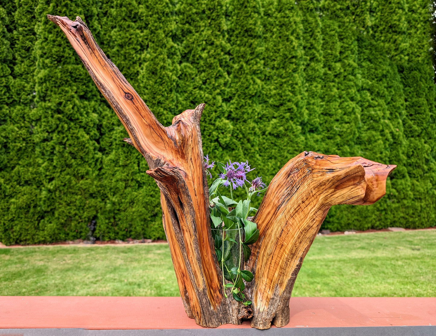 juniper vase planter, Wood, planter, 21 tall x 21 wide x 12'' deep, 7.13 lbs, Wabi Sabi Wasabi wabi-sabi one-of-a-kind, asymmetric, 476-A