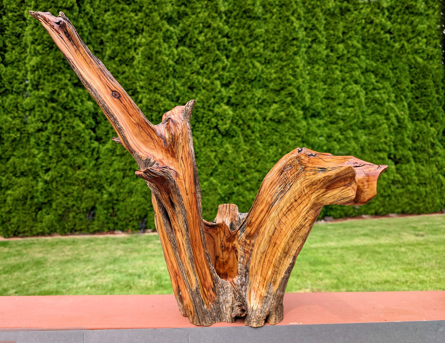 juniper vase planter, Wood, planter, 21 tall x 21 wide x 12'' deep, 7.13 lbs, Wabi Sabi Wasabi wabi-sabi one-of-a-kind, asymmetric, 476-A