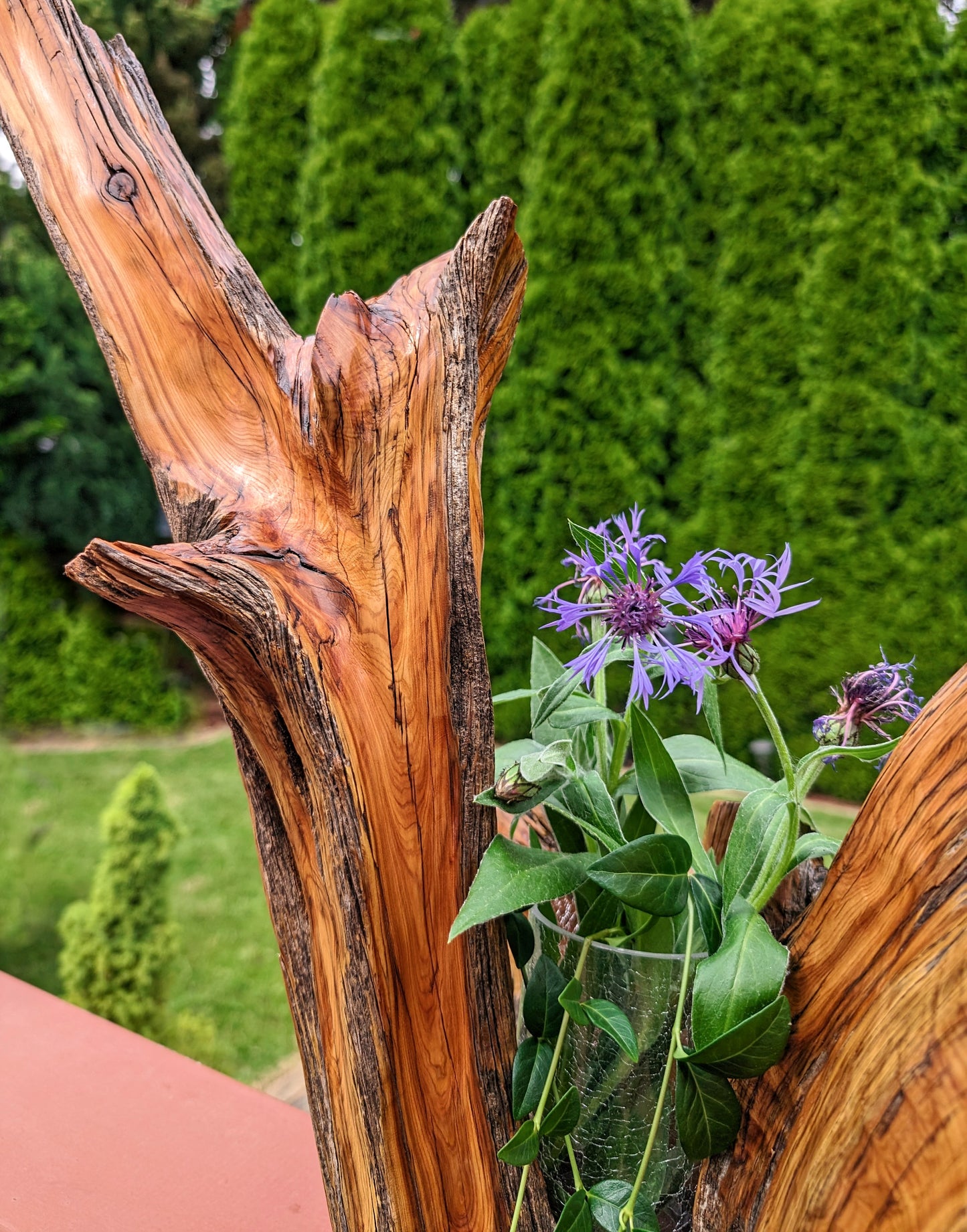 juniper vase planter, Wood, planter, 21 tall x 21 wide x 12'' deep, 7.13 lbs, Wabi Sabi Wasabi wabi-sabi one-of-a-kind, asymmetric, 476-A