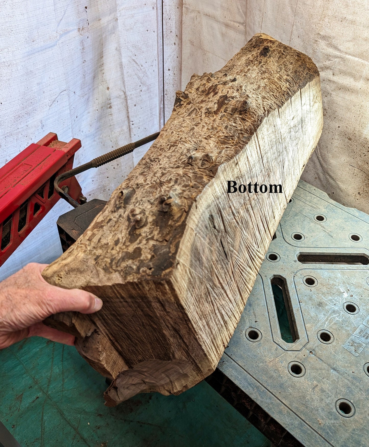 Beautiful large black walnut bowl, 36 inches x 14 x 6.3'' tall, 10.8 lbs., custom made