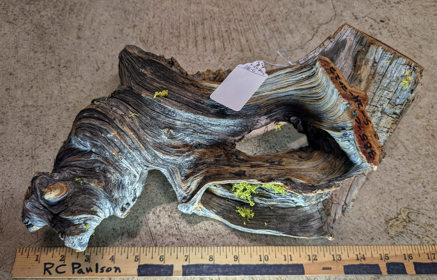 rustic weathered natural wood tabletop sculpture / vase, Ponderosa pine, lichens, 5 tall x 13 x 9’’, 2.9 lbs., Wabi Sabi one-of-a-kind, 385-C
