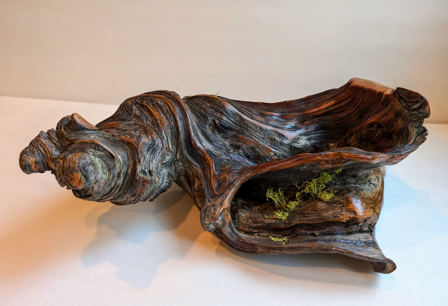 rustic weathered natural wood tabletop sculpture / vase, Ponderosa pine, lichens, 5 tall x 13 x 9’’, 2.9 lbs., Wabi Sabi one-of-a-kind, 385-C