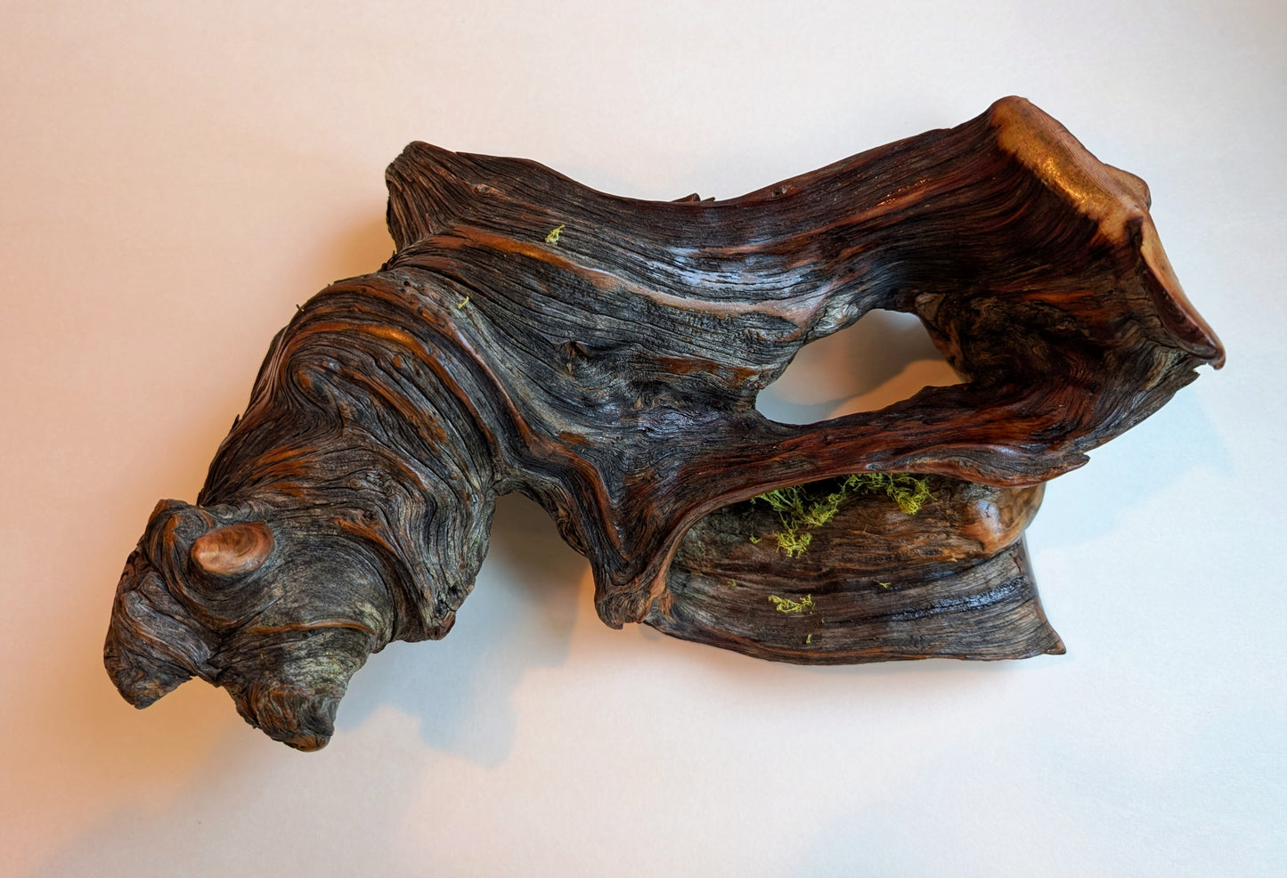 rustic weathered natural wood tabletop sculpture / vase, Ponderosa pine, lichens, 5 tall x 13 x 9’’, 2.9 lbs., Wabi Sabi one-of-a-kind, 385-C
