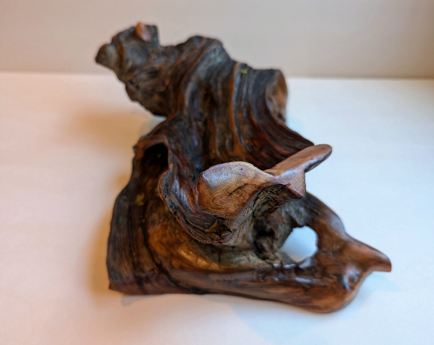 rustic weathered natural wood tabletop sculpture / vase, Ponderosa pine, lichens, 5 tall x 13 x 9’’, 2.9 lbs., Wabi Sabi one-of-a-kind, 385-C