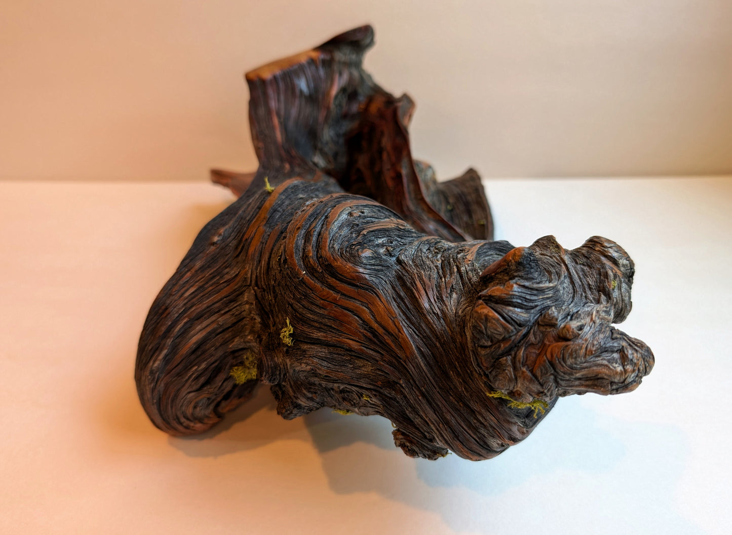 rustic weathered natural wood tabletop sculpture / vase, Ponderosa pine, lichens, 5 tall x 13 x 9’’, 2.9 lbs., Wabi Sabi one-of-a-kind, 385-C