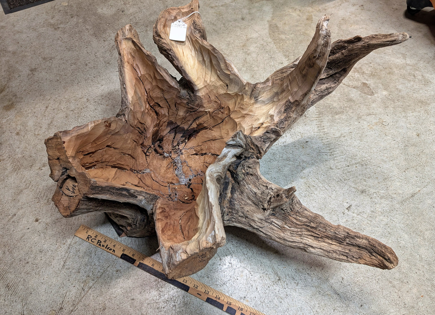 Exotic branched wood root bowl, 14.75'' T, x 21.5, large, smooth, rustic refined, twisted, arced, sprawling, one of a kind, unique, maroon, brown gold, obsidian rock floor inside, Wabi Sabi, driftwood, fruit bowl, food safe, beautiful, 369-A