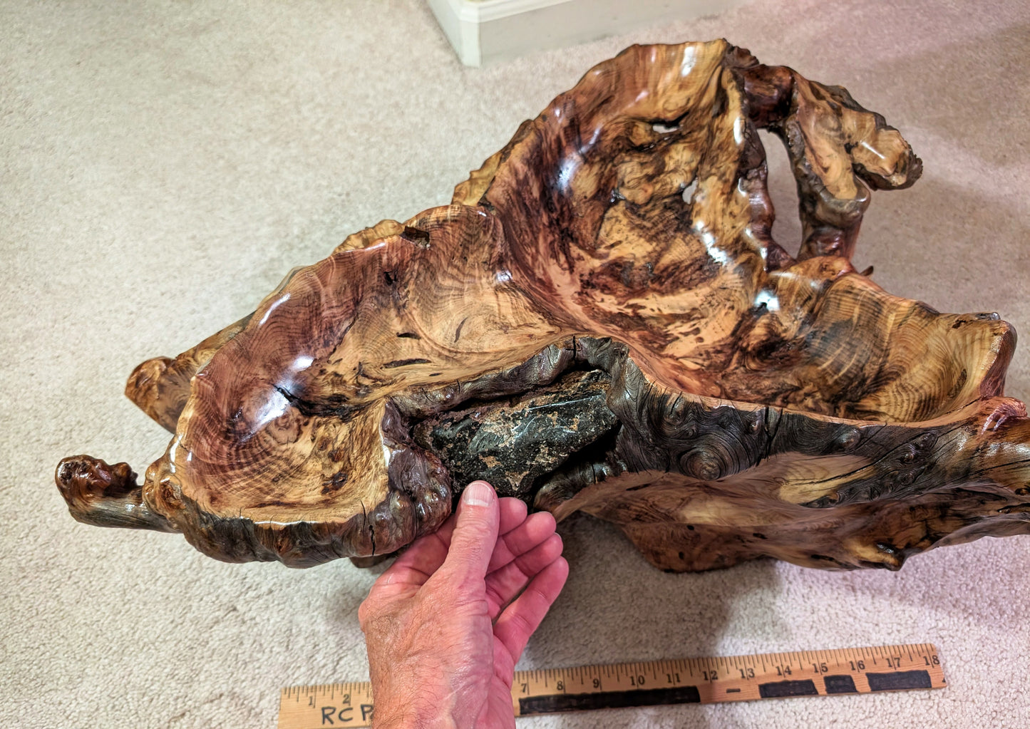 Root bowl with imbedded lava rock, pine wood, rustic root bowl, live edge, irregular, 2-levels, conjoined roots, gold maroon brown, rich grain, 7"T x 20.5L, Wabi Sabi, 593-A2