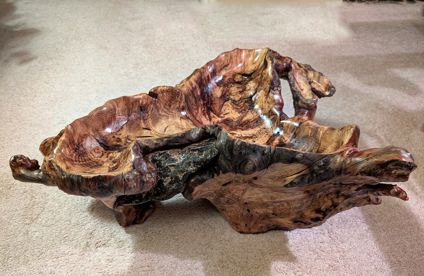 Root bowl with imbedded lava rock, pine wood, rustic root bowl, live edge, irregular, 2-levels, conjoined roots, gold maroon brown, rich grain, 7"T x 20.5L, Wabi Sabi, 593-A2