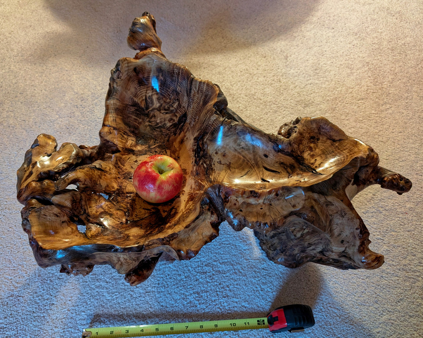Root bowl with imbedded lava rock, pine wood, rustic root bowl, live edge, irregular, 2-levels, conjoined roots, gold maroon brown, rich grain, 7"T x 20.5L, Wabi Sabi, 593-A2