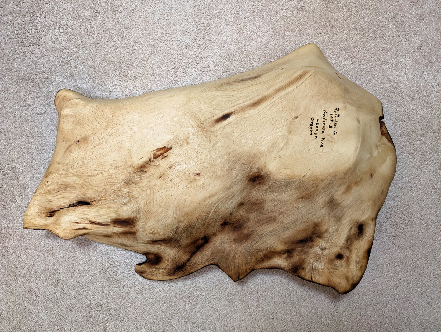 wooden serving tray platter, forest fire-scarred, Ponderosa pine 200+ yr old growth tree, live edge, irregular, natural tan brown, rich grain, 6"T x 28.5", one-of-a-kind, 607-B