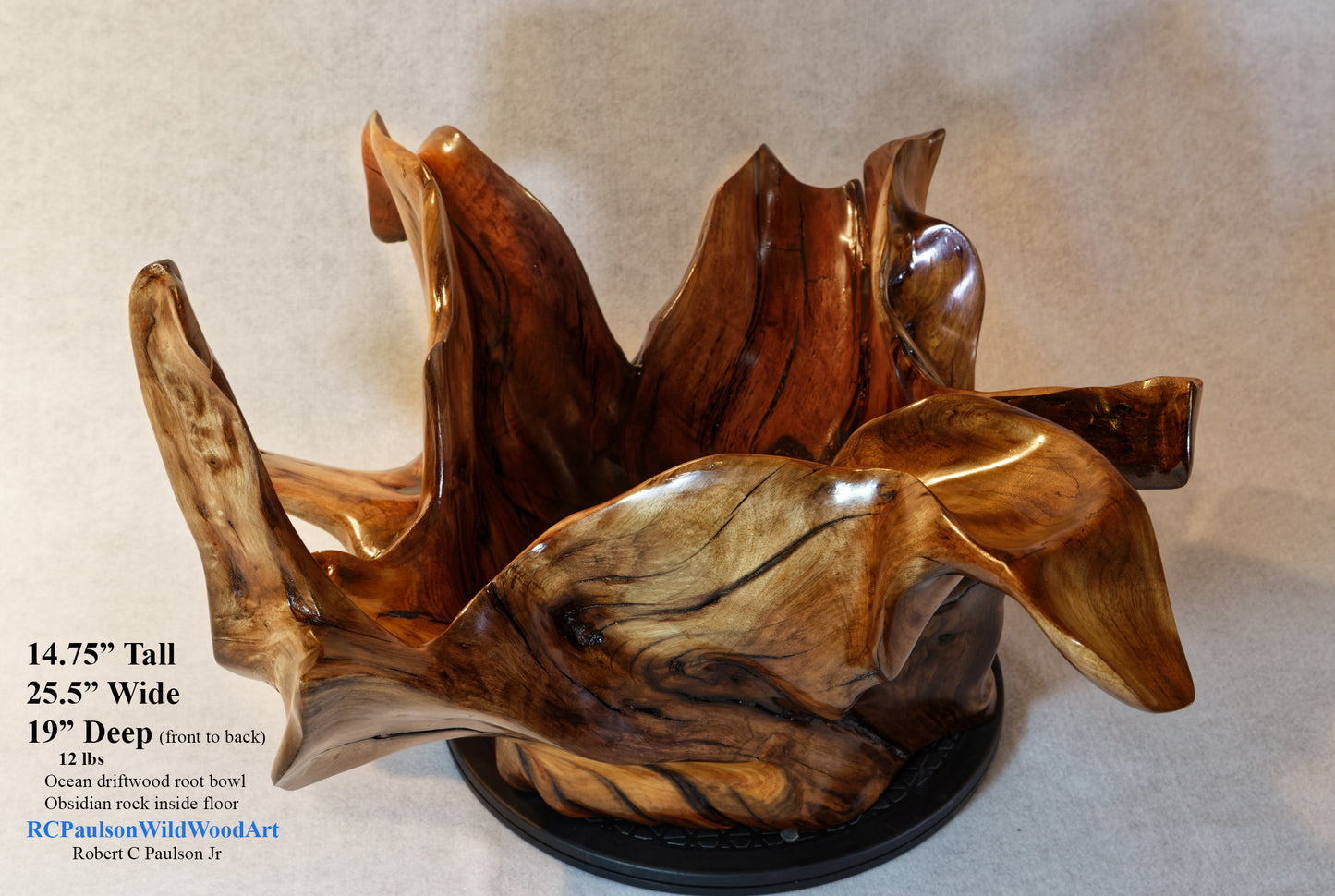 Exotic branched wood root bowl, 14.75'' T, x 21.5, large, smooth, rustic refined, twisted, arced, sprawling, one of a kind, unique, maroon, brown gold, obsidian rock floor inside, Wabi Sabi, driftwood, fruit bowl, food safe, beautiful, 369-A
