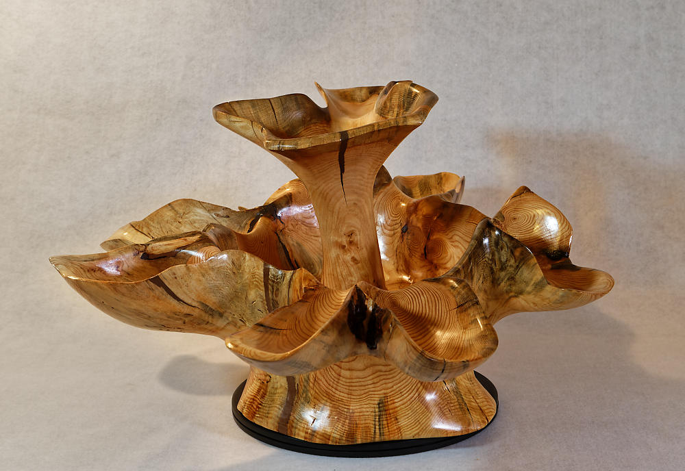 Exotic divided & branching tree root wood bowl, large, rustic yet refined, heirloom, flared side dishes and top dish, sprawling, one of a kind, unique, golden brown, tan, lodgepole pine, 13.25 inch tall x 32 x 24.5, food safe, wooden, unique 452-A
