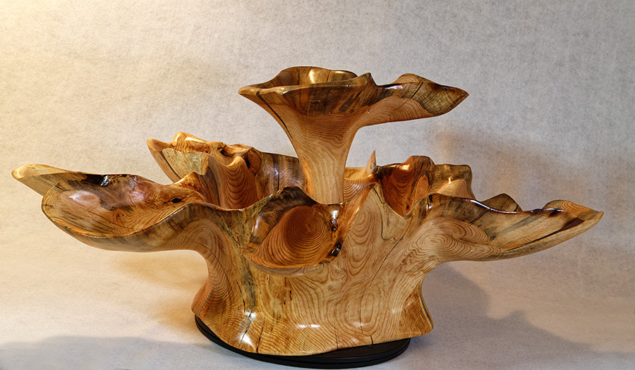 Exotic divided & branching tree root wood bowl, large, rustic yet refined, heirloom, flared side dishes and top dish, sprawling, one of a kind, unique, golden brown, tan, lodgepole pine, 13.25 inch tall x 32 x 24.5, food safe, wooden, unique 452-A