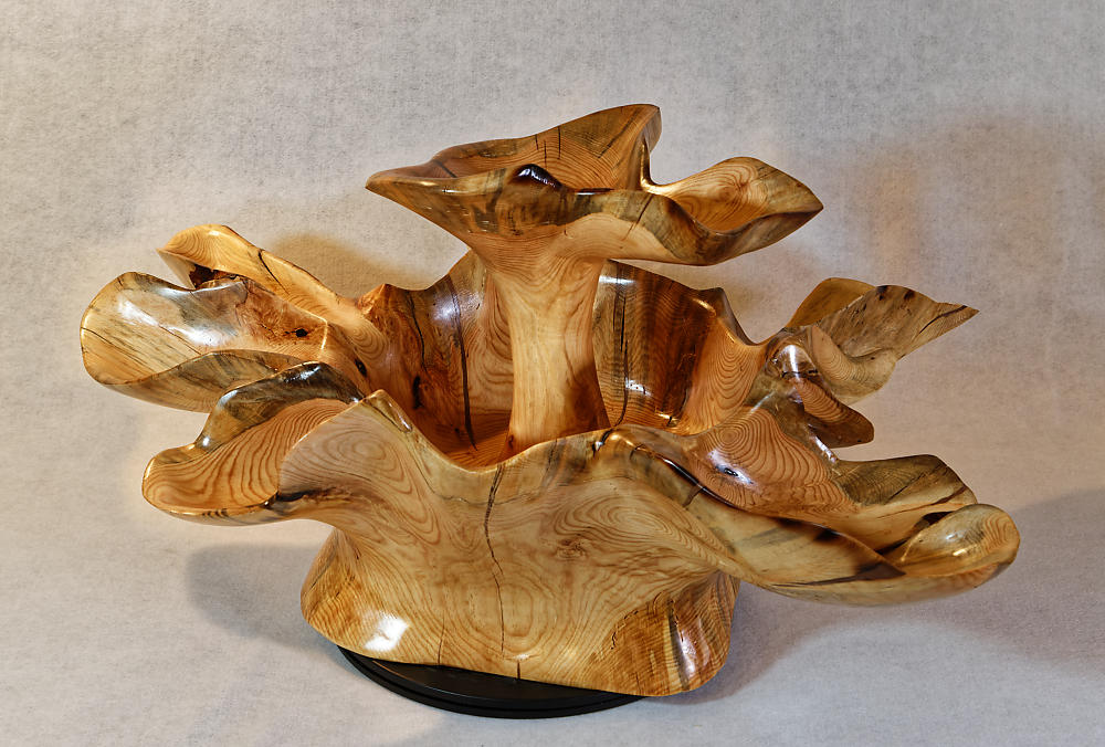 Exotic divided & branching tree root wood bowl, large, rustic yet refined, heirloom, flared side dishes and top dish, sprawling, one of a kind, unique, golden brown, tan, lodgepole pine, 13.25 inch tall x 32 x 24.5, food safe, wooden, unique 452-A