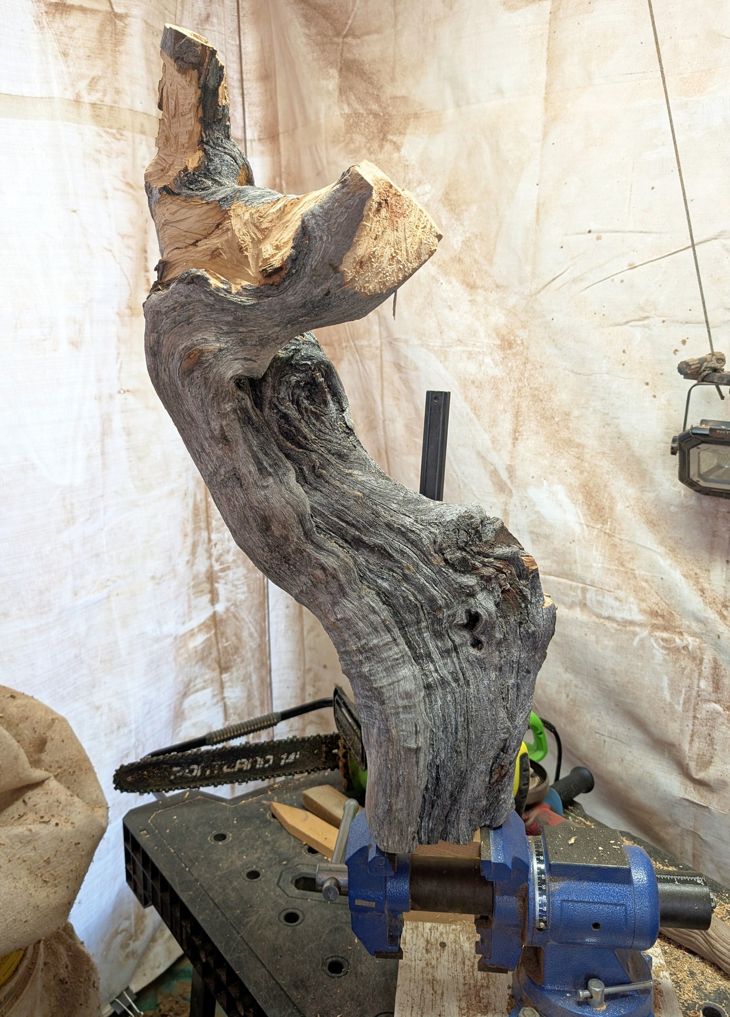 exotic wood sculpture 29 inch tall, one-of-a-kind, irregular freeform desktop tabletop or floor sculpture, Quaking Aspen , beautiful grain, smooth, satin finish, flowing lines, yellow gold brown, reclaimed wood, sustainably sourced, 621-A