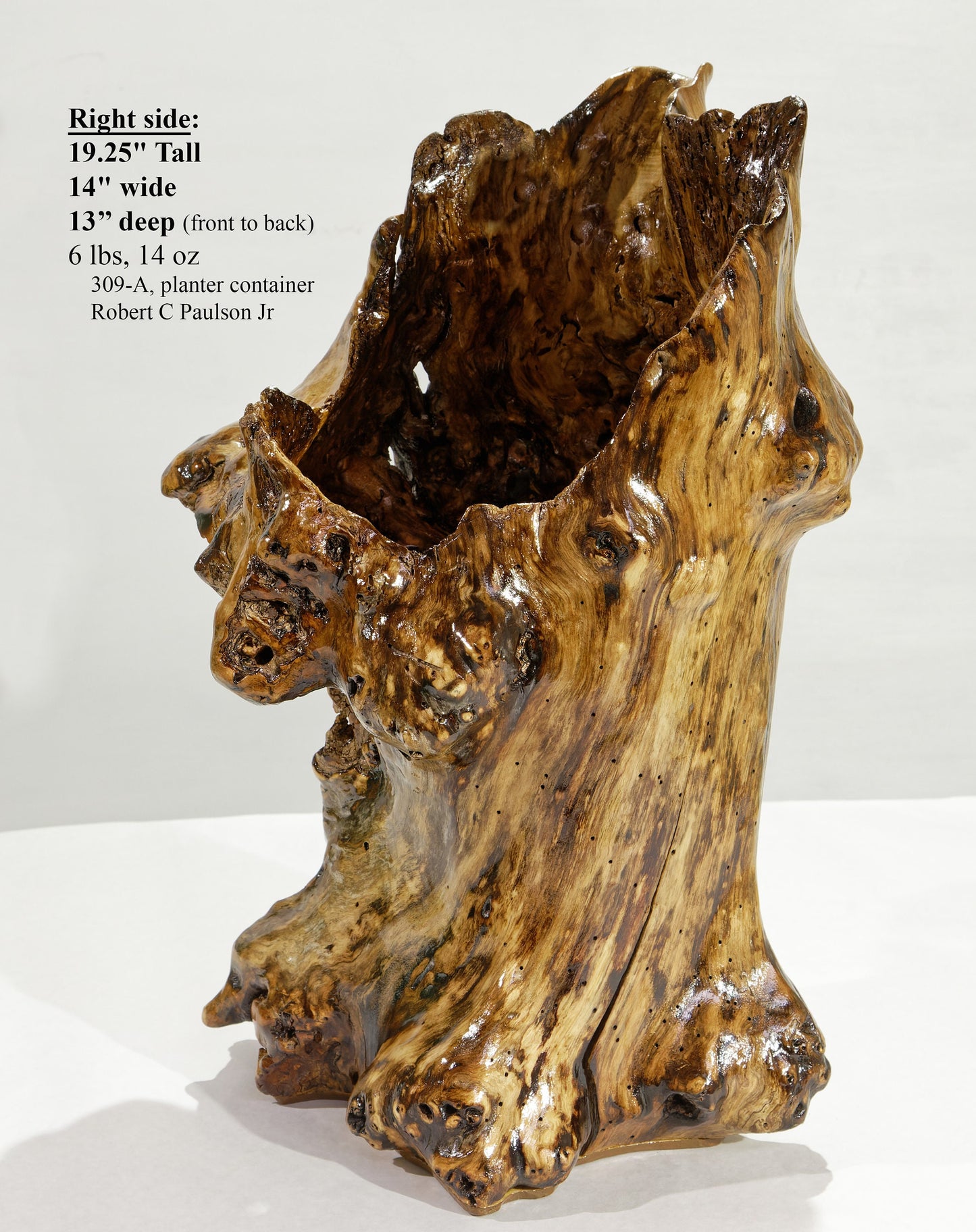 wood basket planter container exotic knobby golden brown black, unique decorative wood, rustic wood vase sculpture, asymmetrical, 19 x 14 x 13’ inches, 309-A