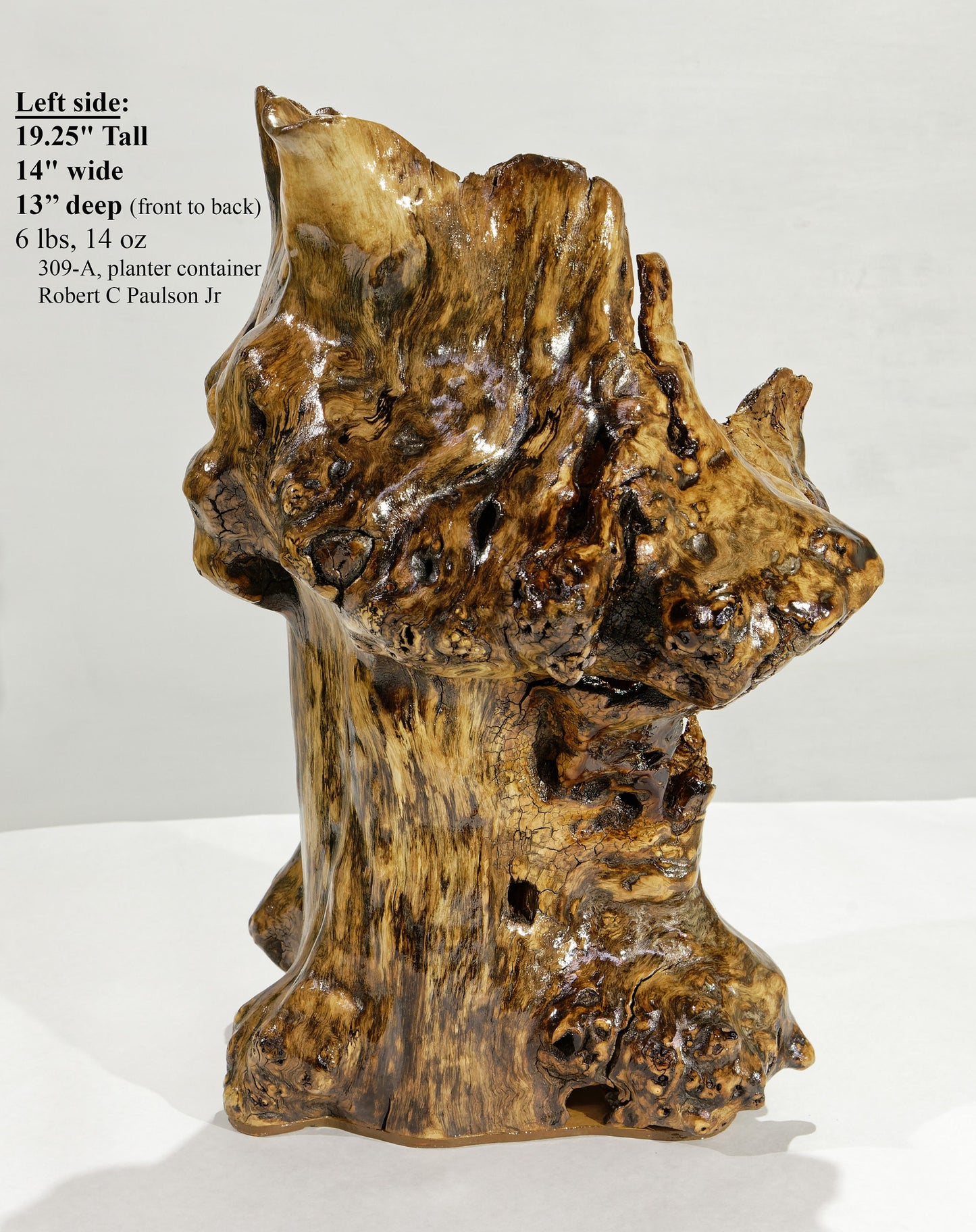 wood basket planter container exotic knobby golden brown black, unique decorative wood, rustic wood vase sculpture, asymmetrical, 19 x 14 x 13’ inches, 309-A
