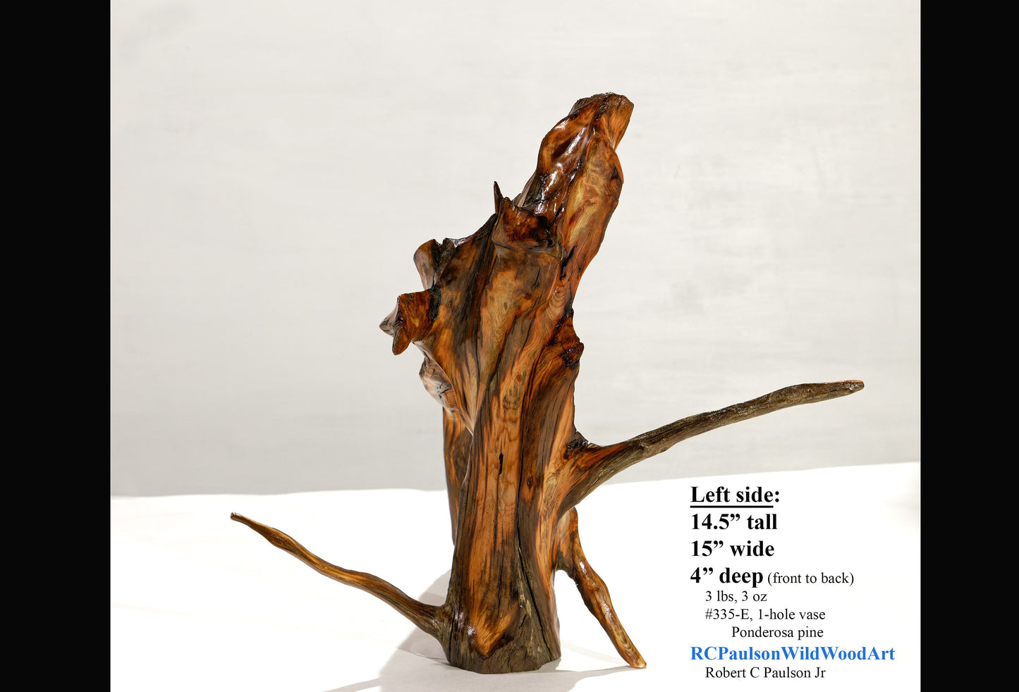 Rustic exotic branching wood bud vase sculpture, sleek, brown gold red, natural pine colors, one-of-a-kind, 14.5 tall x 15” wide x 4’’ wide, 3# , Robert C Paulson Jr, 335-E