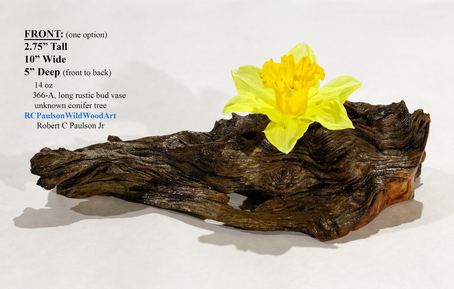 wood bud vase, tabletop sculpture, rustic vase, primitive vase, 2.75 inches tall x 10 x 5, 14 oz, 5/8 inch hole, Wabi Sabi, wooden, 366-A